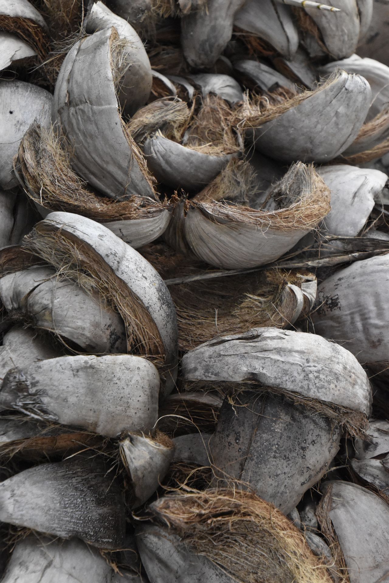 Chips de coco secos empilhados em textura natural
